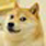 :doge: